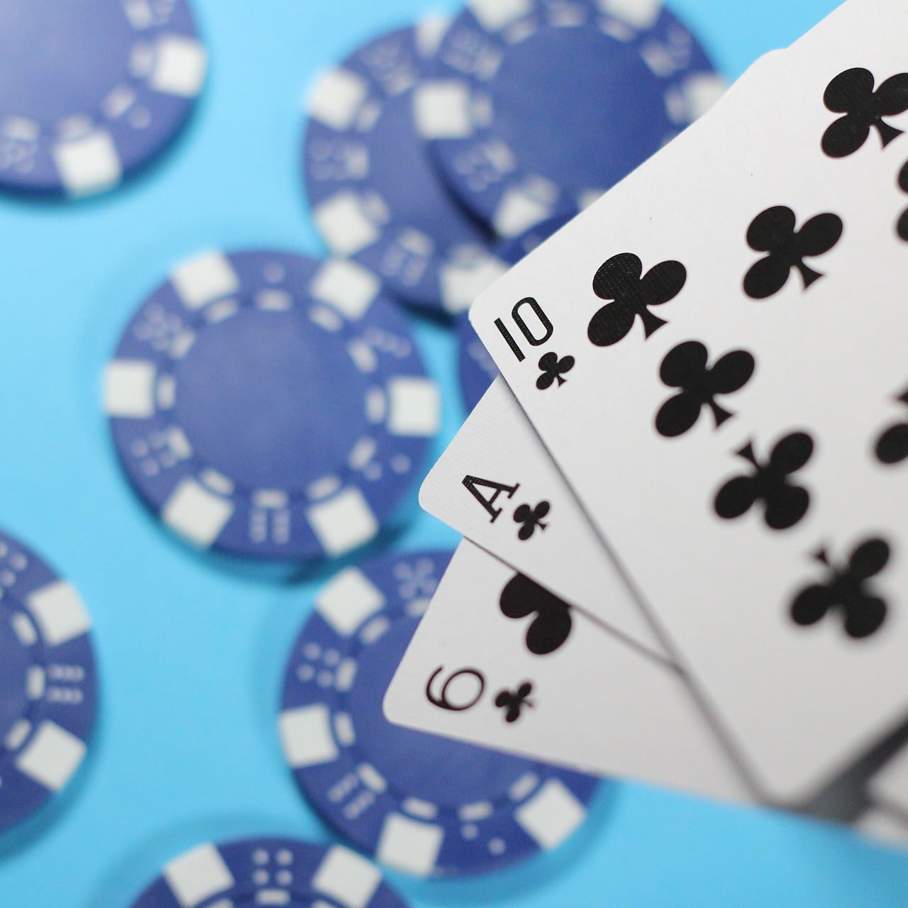 6z bet casino