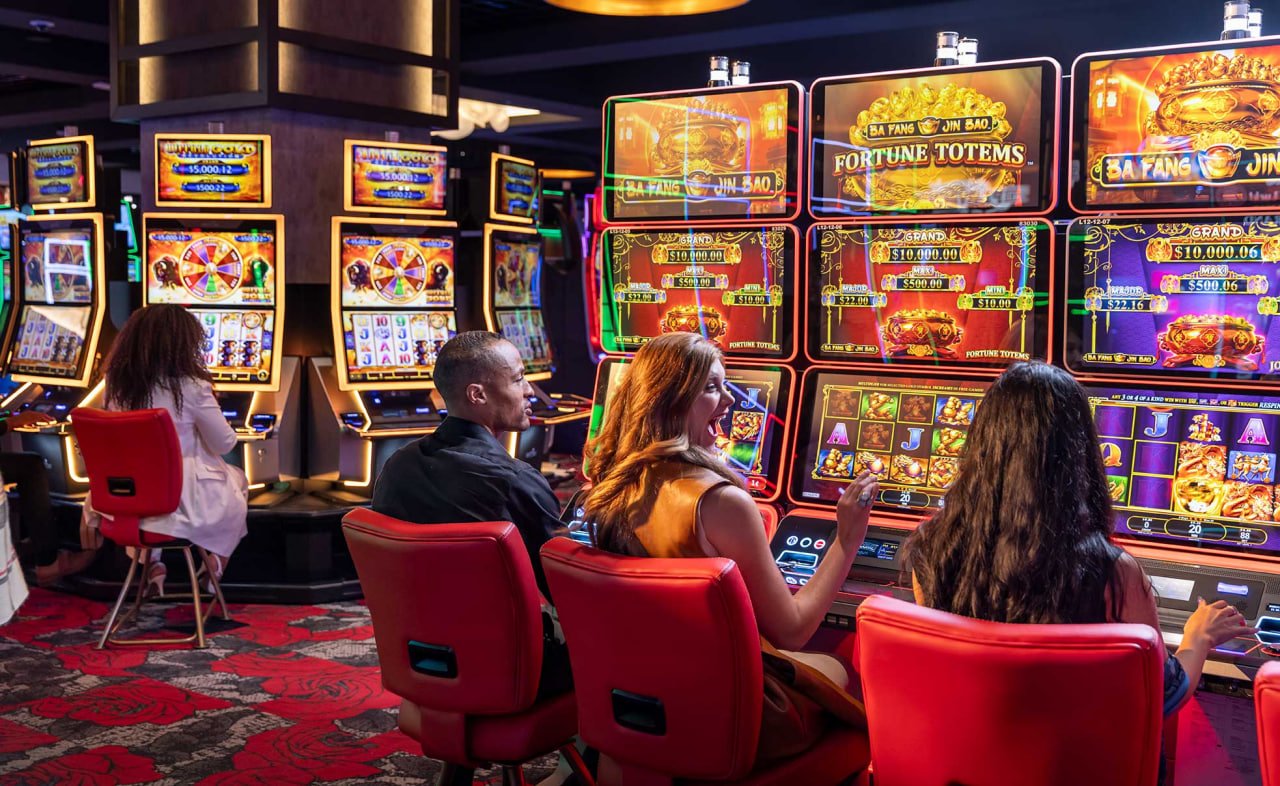 6z bet casino