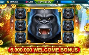 6z bet casino